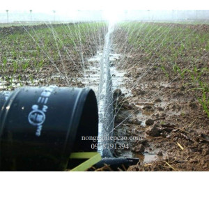 Ống phun mưa Đài Loan